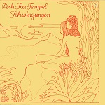 ashratempelschwingungencover.jpg