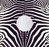 zebrainner